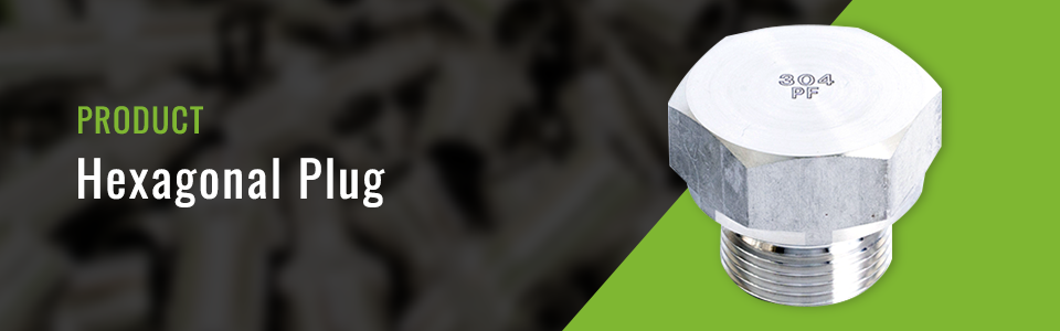 Hexagonal Plug